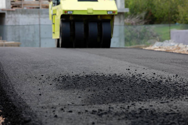 Best Local Driveway Pavers  in Milam, TX